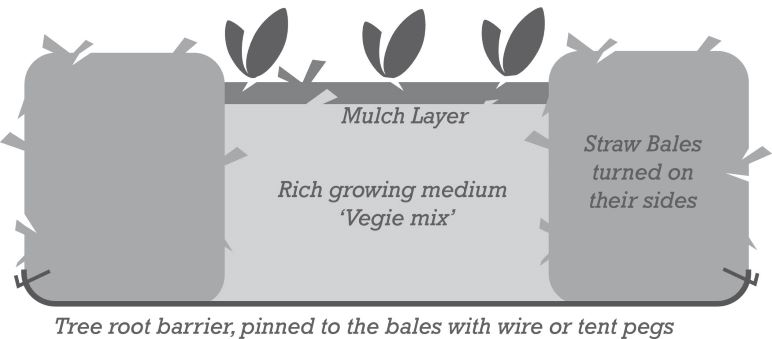 cross section garden bed